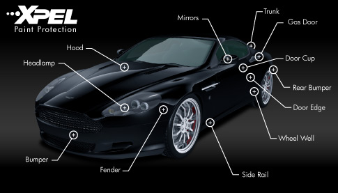 XPEL Auto Paint Protection Film in Dublin, CA
